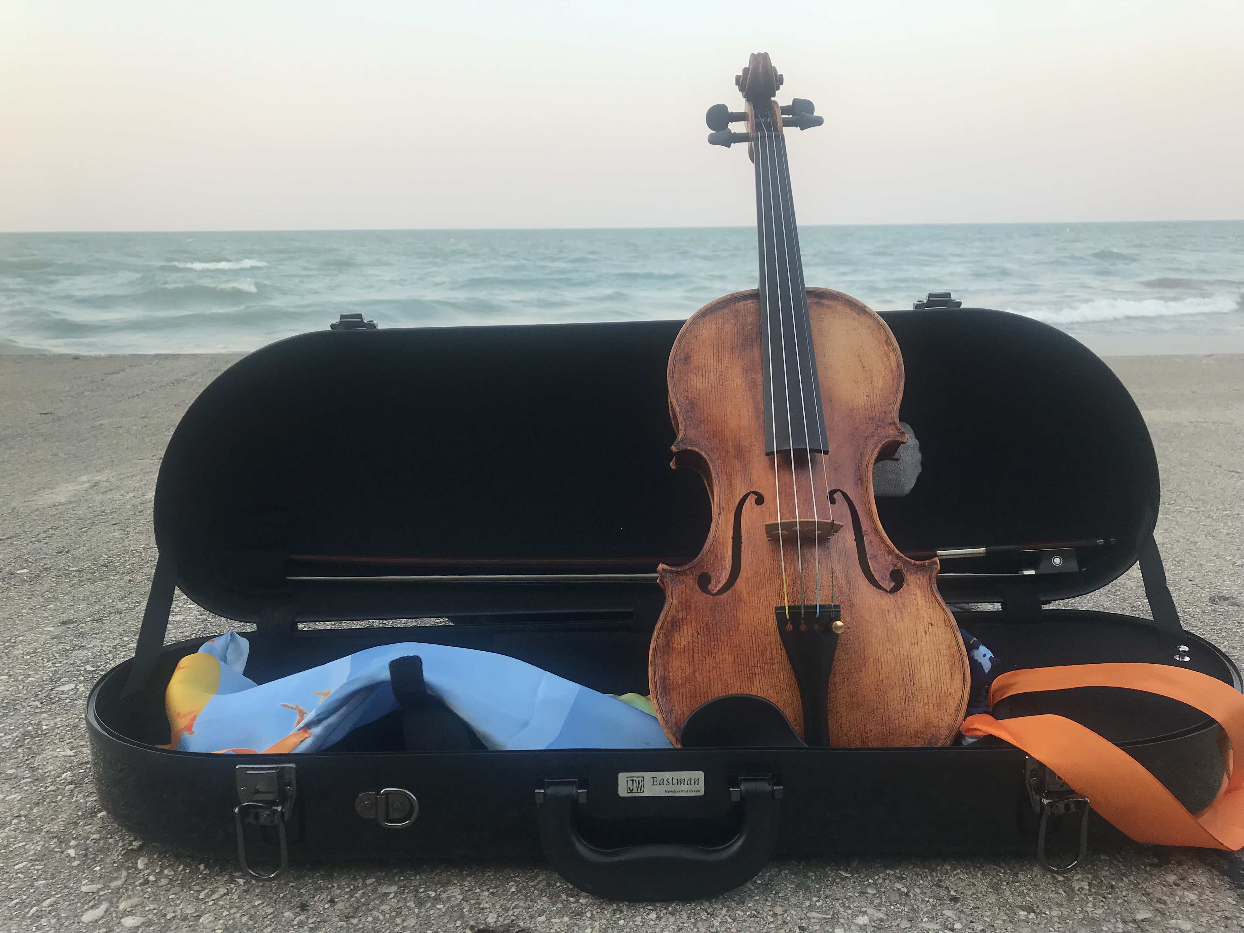 My violin, Anansi, taking in the views at Lake Michigan.