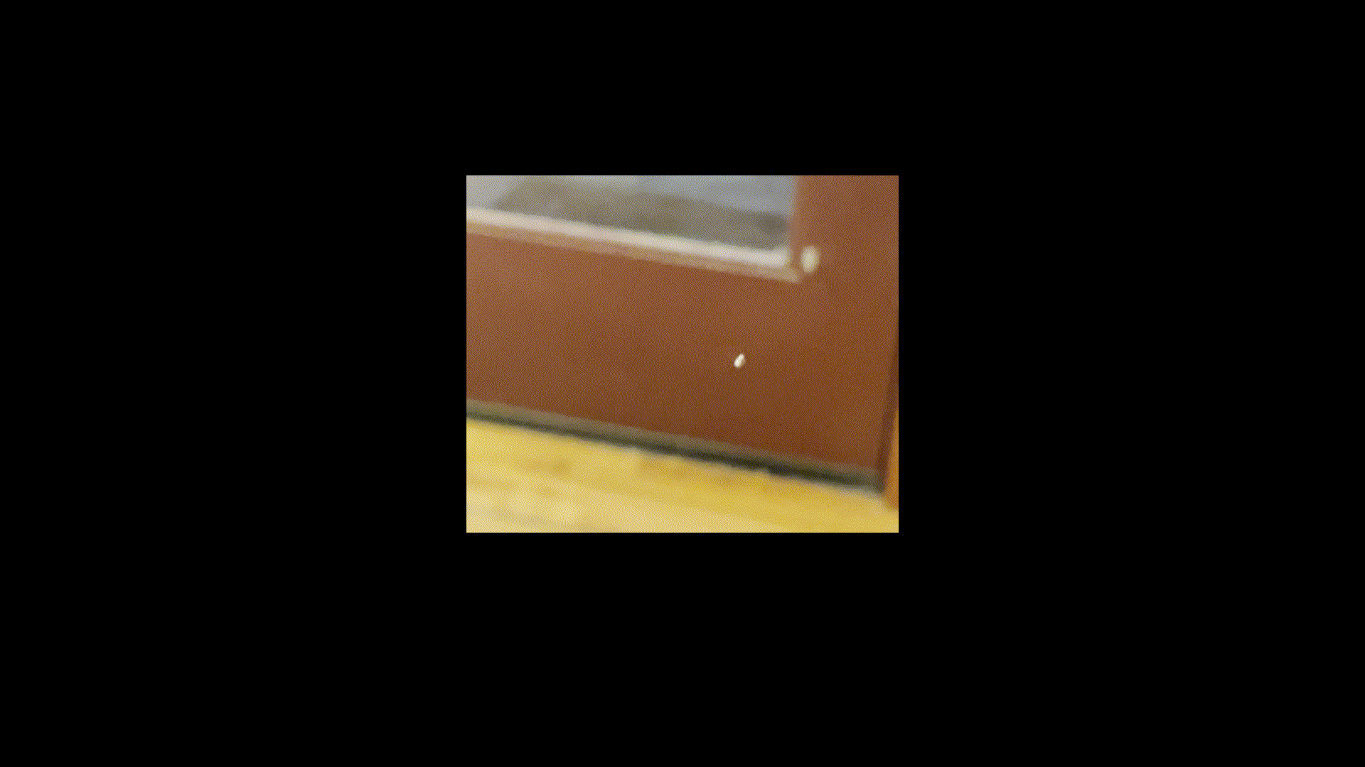 a blurry gif of a spider in the workshop