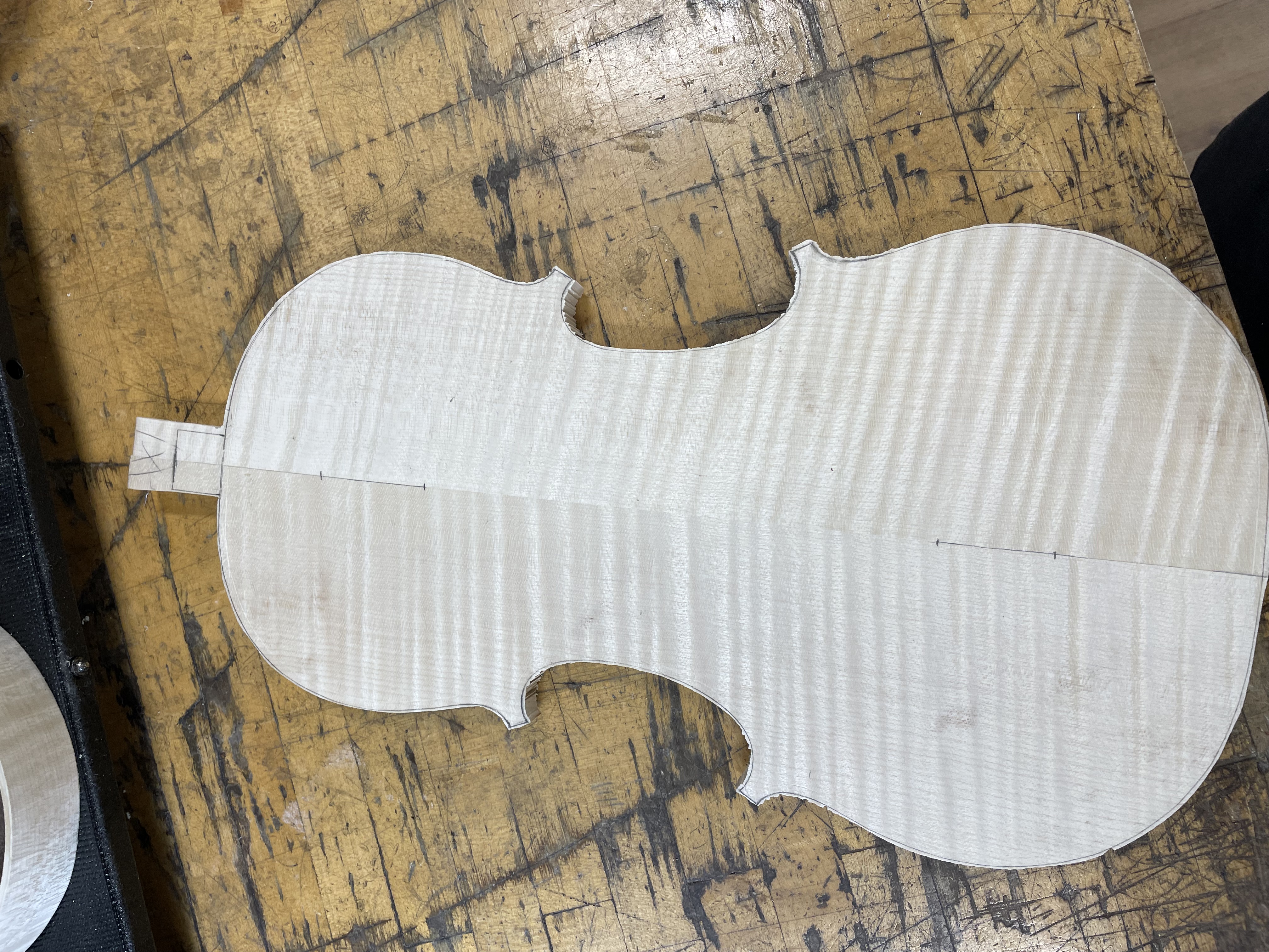 maple cut out